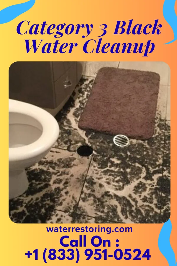 Category 3 Black Water Cleanup in Diamond Beach, NJ