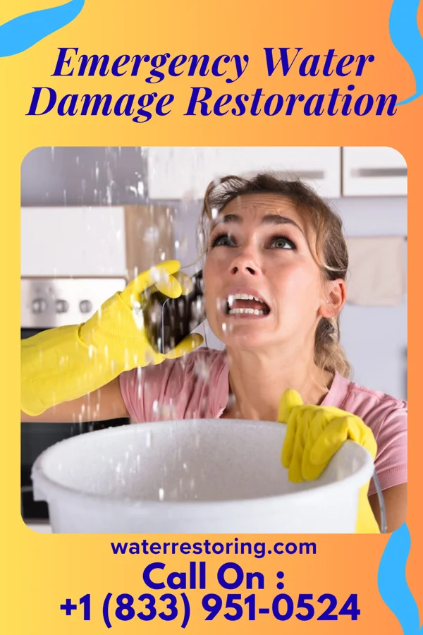 Emergency Water Damage Restoration in Diamond Beach, NJ
