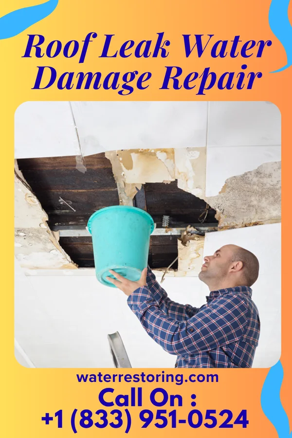Roof Leak Water Damage Repair in Diamond Beach, NJ