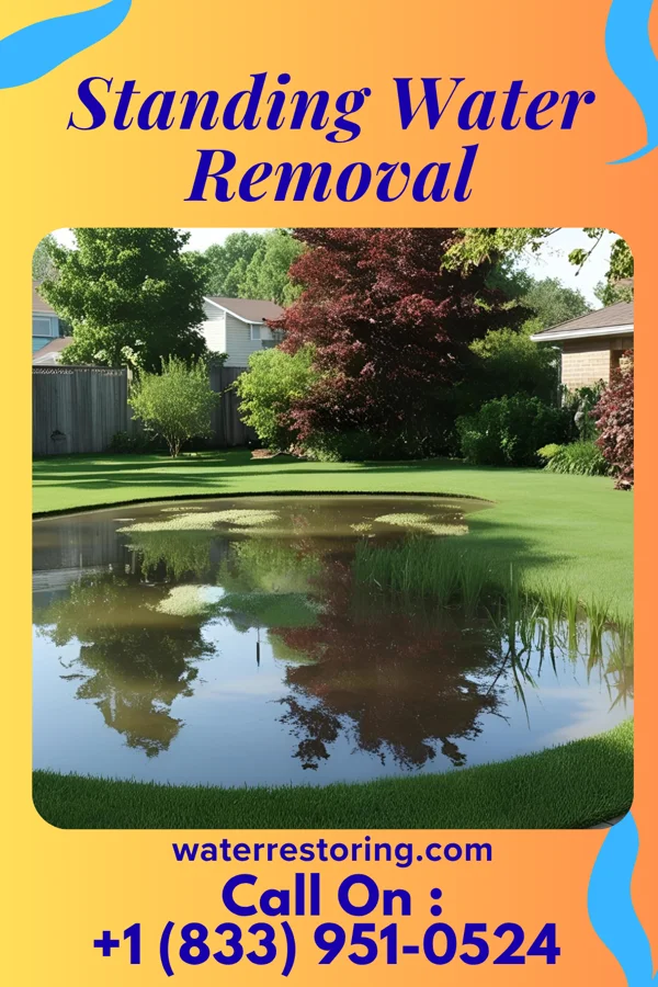 Standing Water Removal in Diamond Beach, NJ